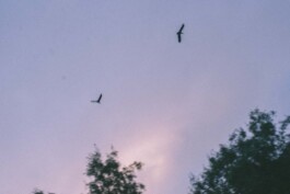 Último día del verano