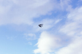 Último día del verano