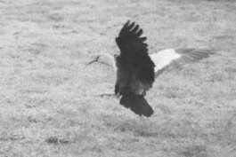 Último día del verano