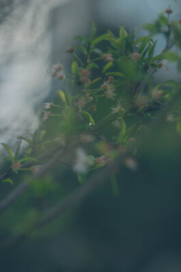 Último día del verano