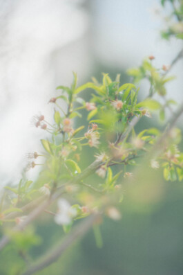 Último día del verano