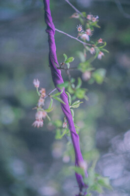 Último día del verano