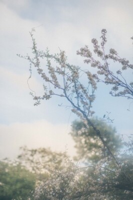 Último día del verano